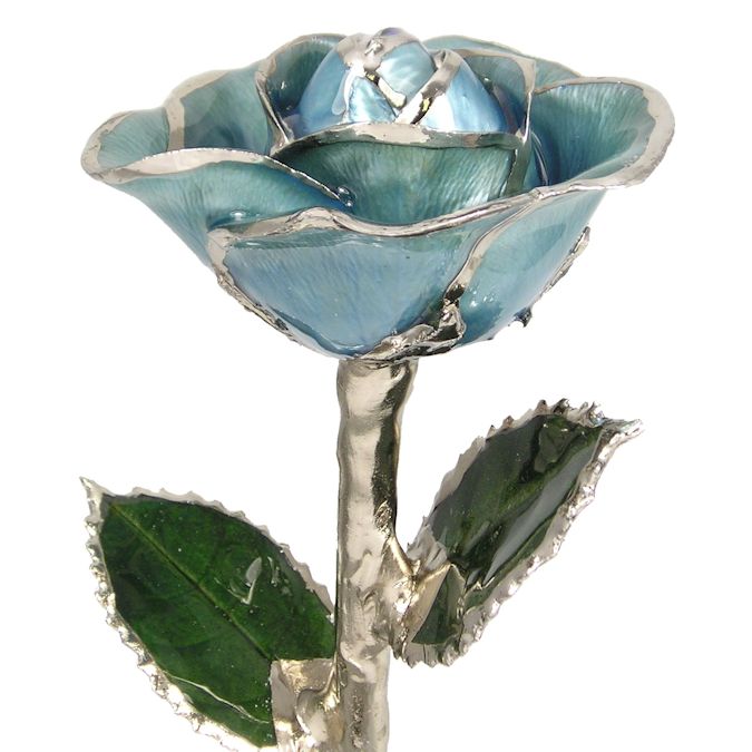 Light Blue Platinum Rose