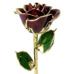 Burgundy Gold Rose