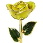 Yellow Gold Rose