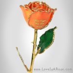 Personalized Peach Gold Rose