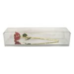 Gold Rose In Museum Case