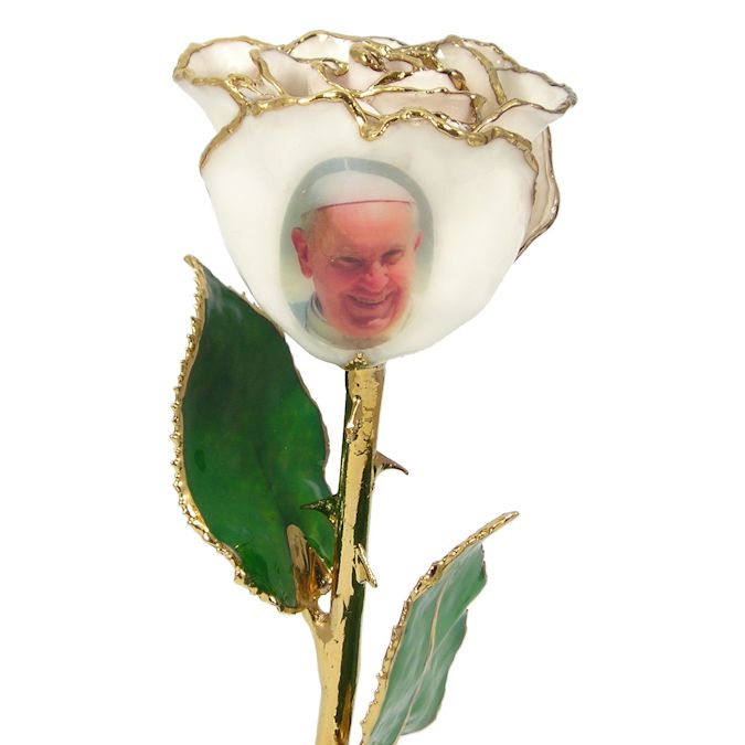 Pope Francis Gold Rose