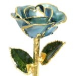 Light Blue Gold Rose