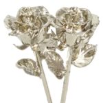 Platinum Dipped Roses