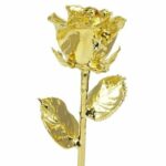 11" 24k Gold Dipped Rose