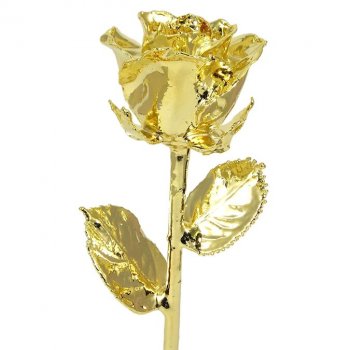 11" 24k Gold Dipped Rose