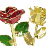 24k Gold Dipped Roses