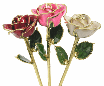 24k Gold Trimmed Roses