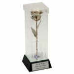 20th Anniversary 8" Platinum Rose in Custom Illuminated Case