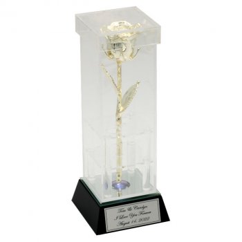 25th Anniversary 8" Silver Rose in Custom Illuminated Case