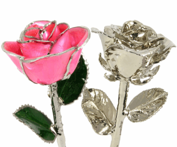Platinum Roses