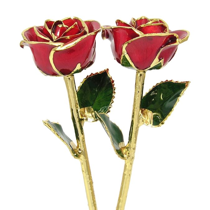  Flower Bloom rose gift bundal