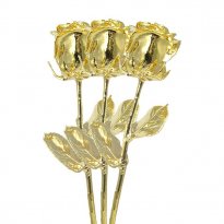 3 Past, Present, Future 11" Gold Dipped Roses