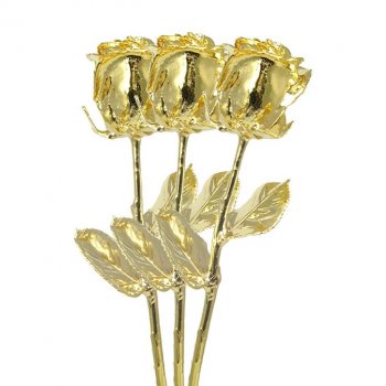 3 Past, Present, Future 11" Gold Dipped Roses