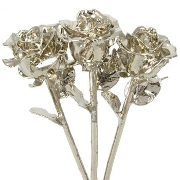 3 Past, Present, Future 11" Platinum Dipped Roses