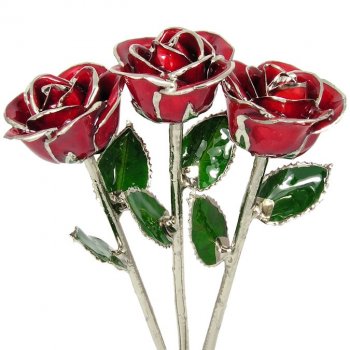 3 Past, Present, Future 11" Platinum Trimmed Roses