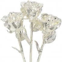 3 Past, Present, Future 11" Silver Dipped Roses