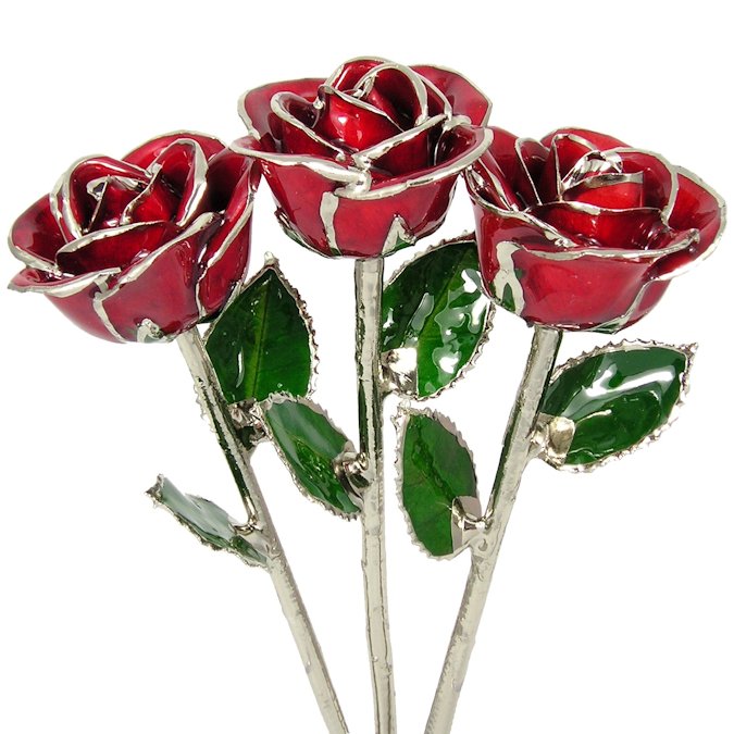  Flower Bloom rose gift bundal