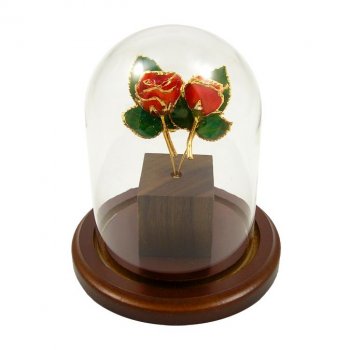 2 Enchanted Mini 24k Gold Roses in Glass Dome