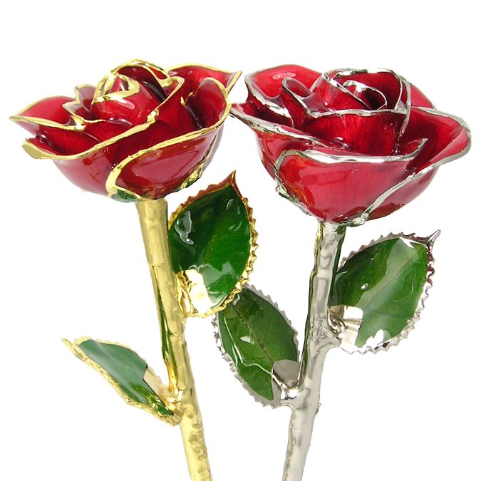  Flower Bloom rose gift bundal