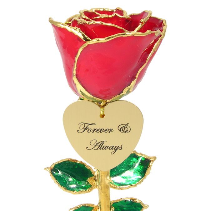  Flower Bloom rose gift bundal