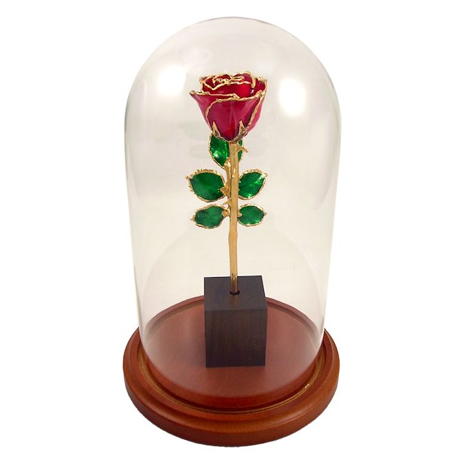  Flower Bloom rose gift bundal