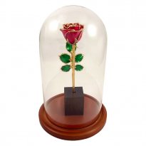 Enchanted 24k Gold Rose: 8" Trimmed Real Rose