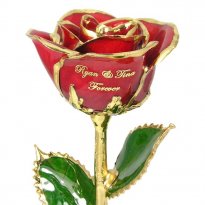 12 Inch 24K Gold Dipped Real Rose in a Gold Egyptian Casket NEW Wedding Gift 