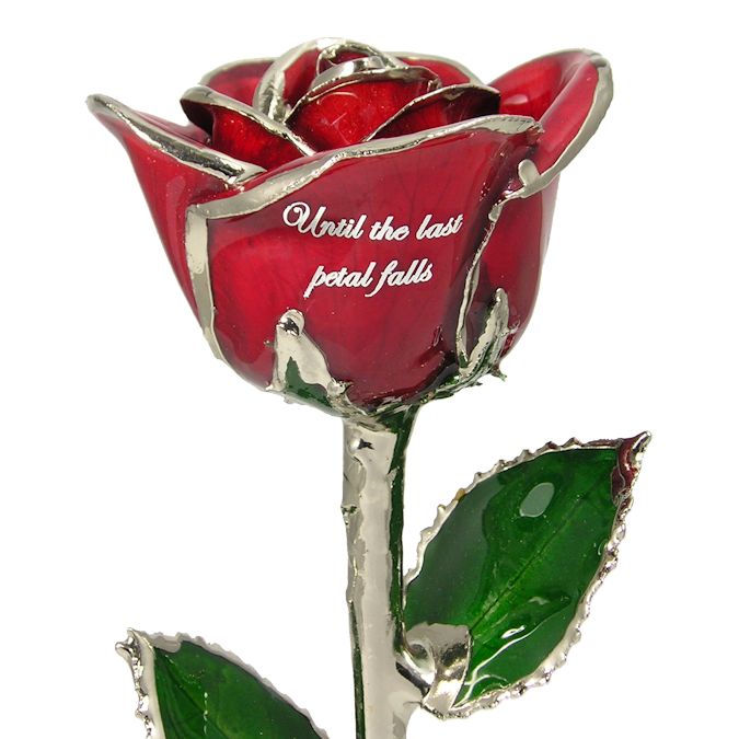  Flower Bloom rose gift bundal