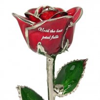 11" Personalized Platinum Trimmed Rose