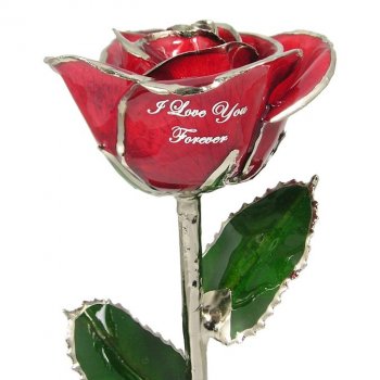 11" Personalized Silver Trimmed Rose