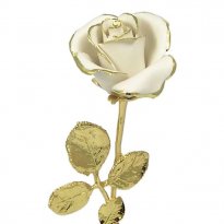 White Capodimonte Porcelain Rose: 24k Gold Trim