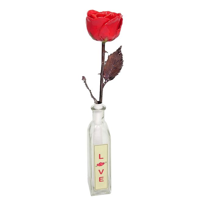  Flower Bloom rose gift bundal