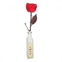 11" Copper Rose with Personalized Message in a Bottle