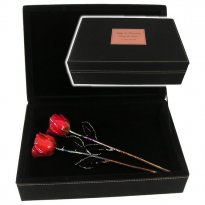 Two 11" Copper Roses in 7th Anniversary Case