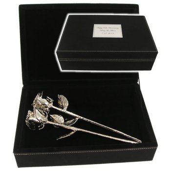 Two 11" Platinum Roses in 20th Anniversary Case