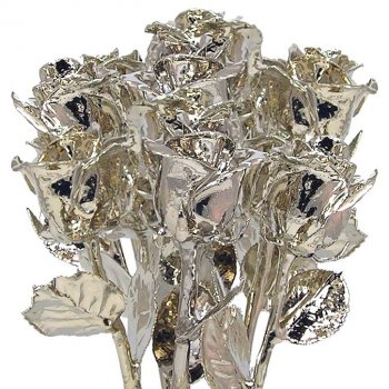 Platinum Dipped Roses: 1 Dozen 17" Rose Bouquet