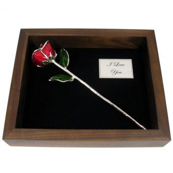 11" Platinum Trim Rose in Personalized Shadow Box