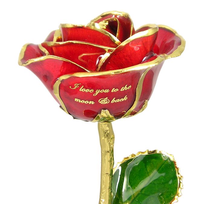  Flower Bloom rose gift bundal