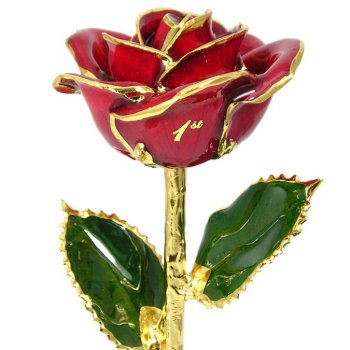 Personalized Rose 1st-60th Anniversary Gift