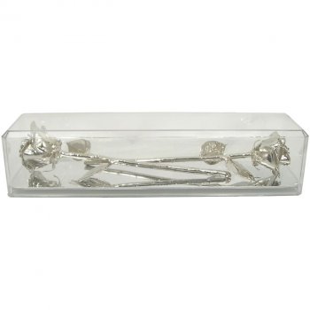 20th Anniversary Gift: 2 Platinum Roses in Museum Case