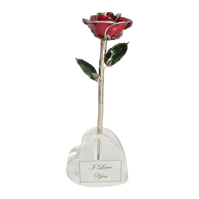  Flower Bloom rose gift bundal