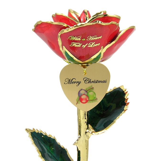  Flower Bloom rose gift bundal