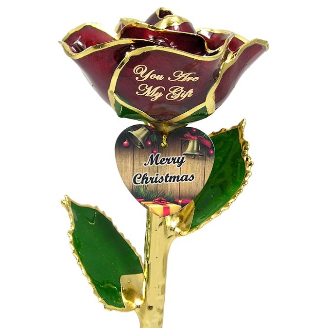  Flower Bloom rose gift bundal