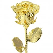 17" Real Rose Dipped in 24k Gold