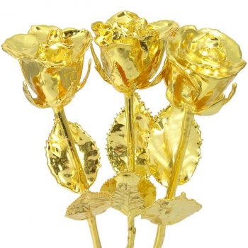 3 Past, Present and Future 14" Gold Dipped Roses