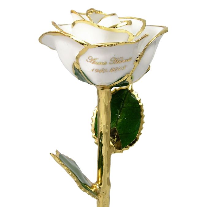  Flower Bloom rose gift bundal