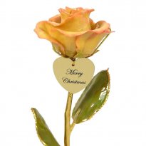 11" 24k Gold Stem Ivory/Pink Personalized Christmas Rose