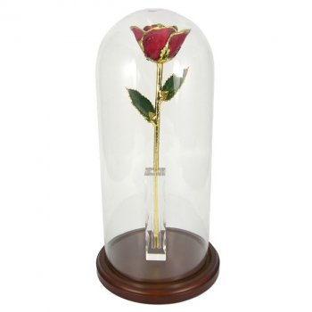 Enchanted 11" Gold Trimmed Rose