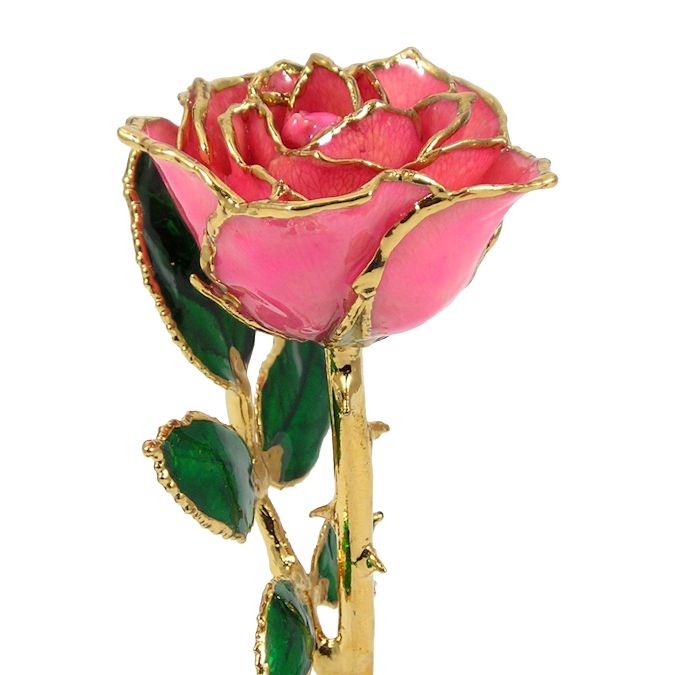  Flower Bloom rose gift bundal